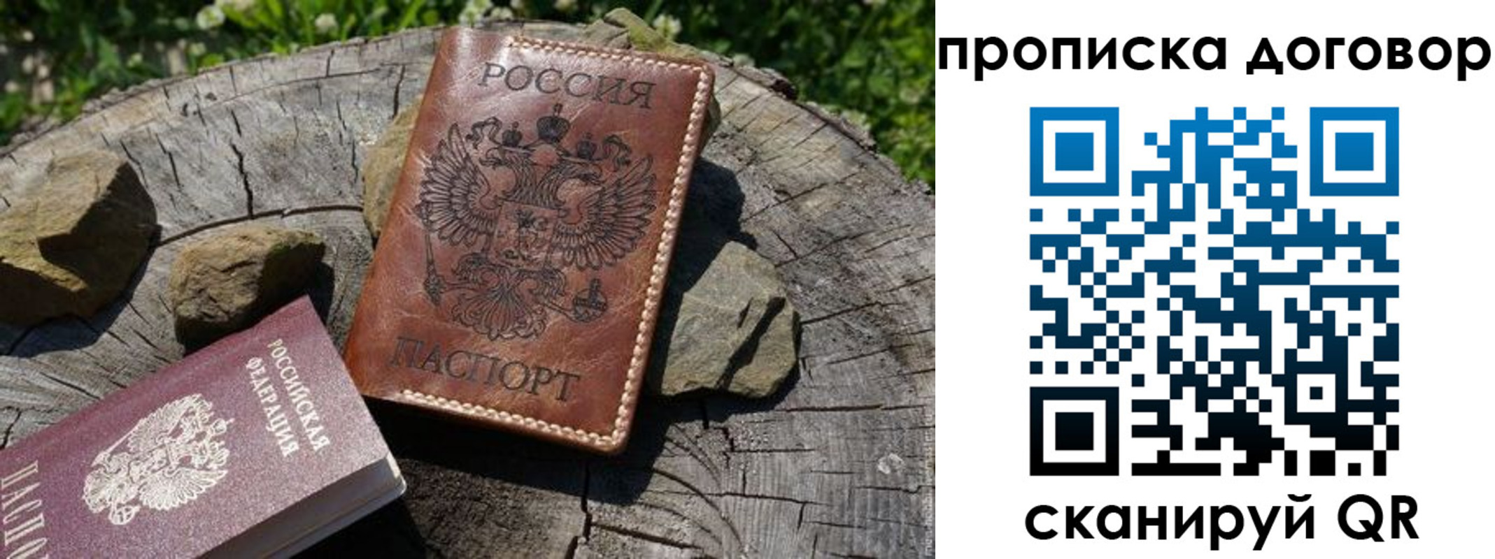 временная регистрация гарантия в Читинской области